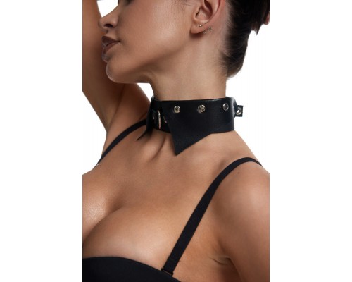 Ошейник с имитацией воротника