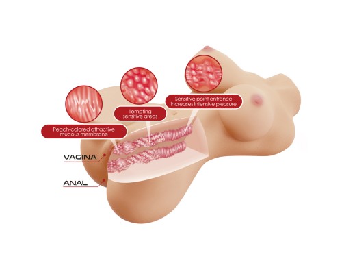 Мастурбатор-торс Hetty, вагина и анус