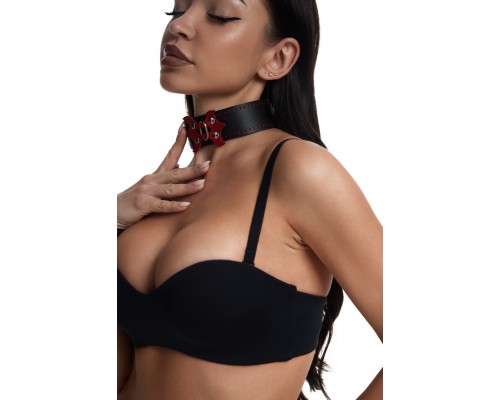 Ошейник с красной строчкой