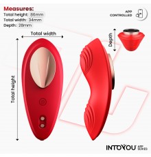 Интерактивный носимый вибростимулятор Panty Vibrator