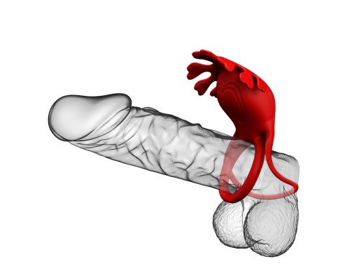 Улучшите свою сексуальную жизнь с эрекционным кольцом Ruben с вибрацией в красном цвете