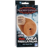 Мастурбатор анус Noches Latinas - Culo