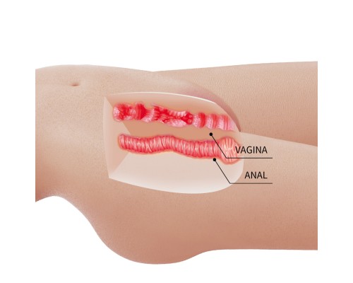 Мастурбатор торс Mia, вагина и анус