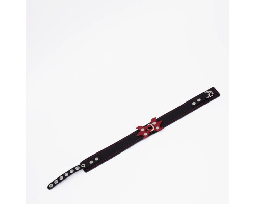 Ошейник с красной строчкой