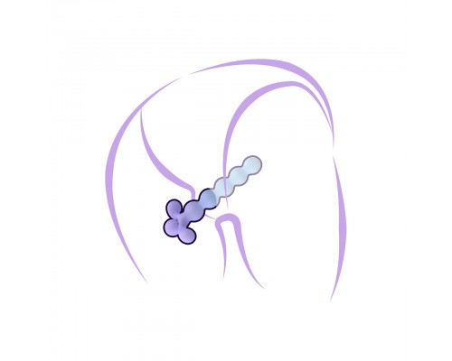 Анальная ёлочка с вибрацией