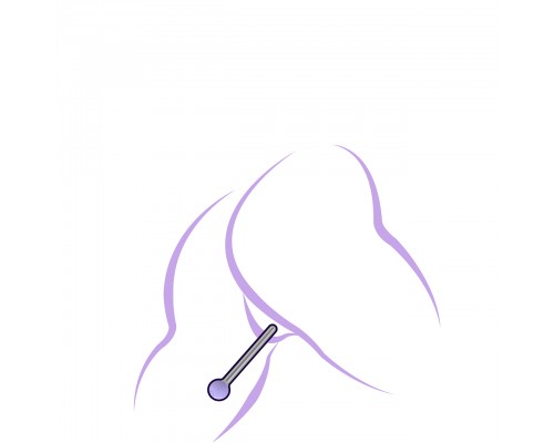 Анальная ёлочка с вибрацией