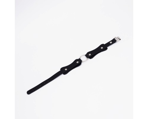 Ошейник с кольцом